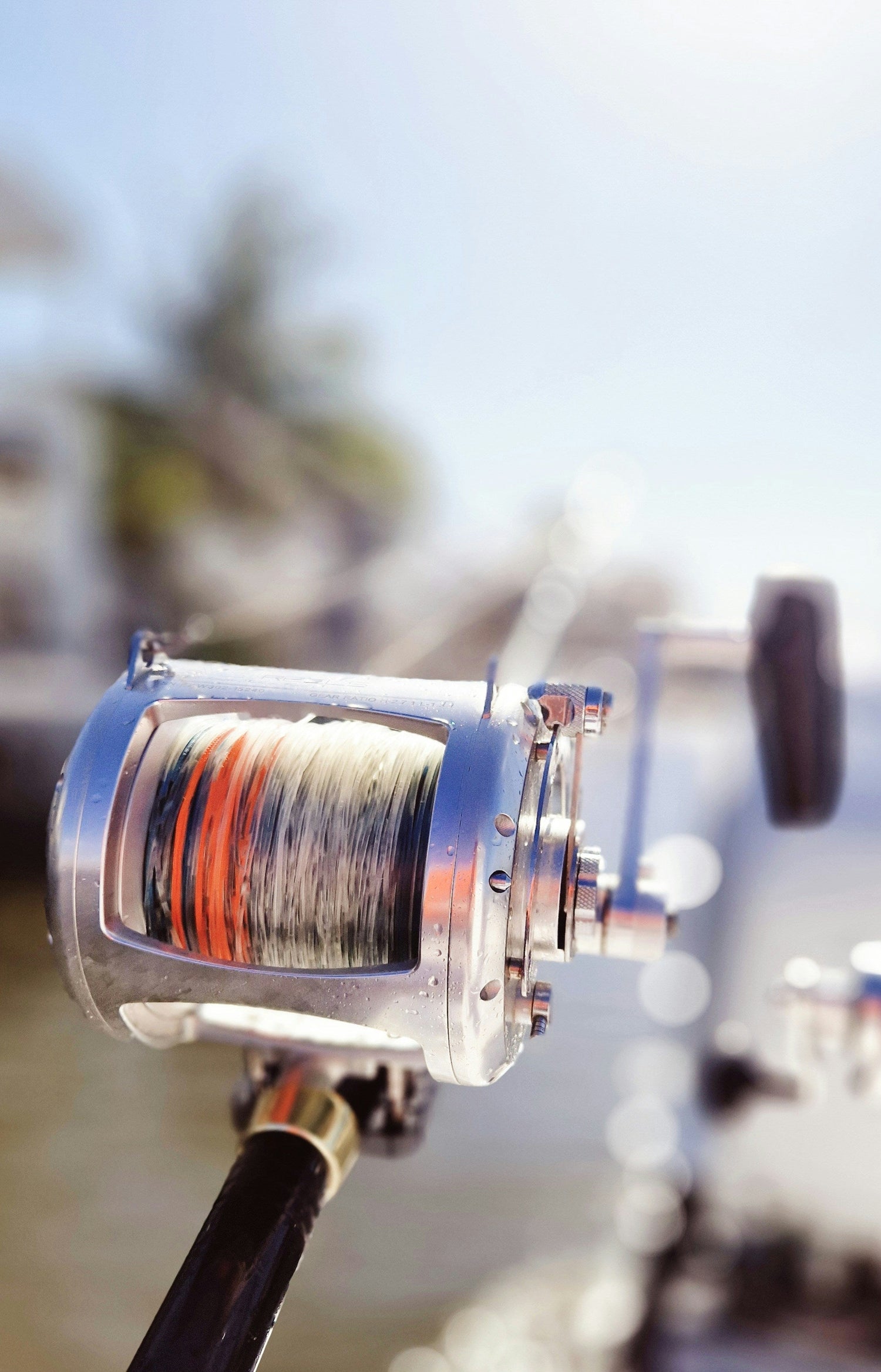 🧵 Fishing Lines & Braids