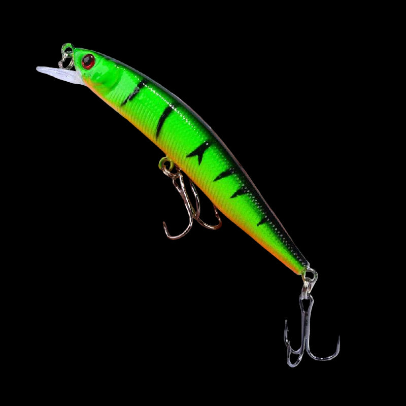 Minnow Fishing Lure